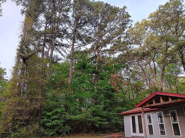 Image of 1810 Darden Rd E