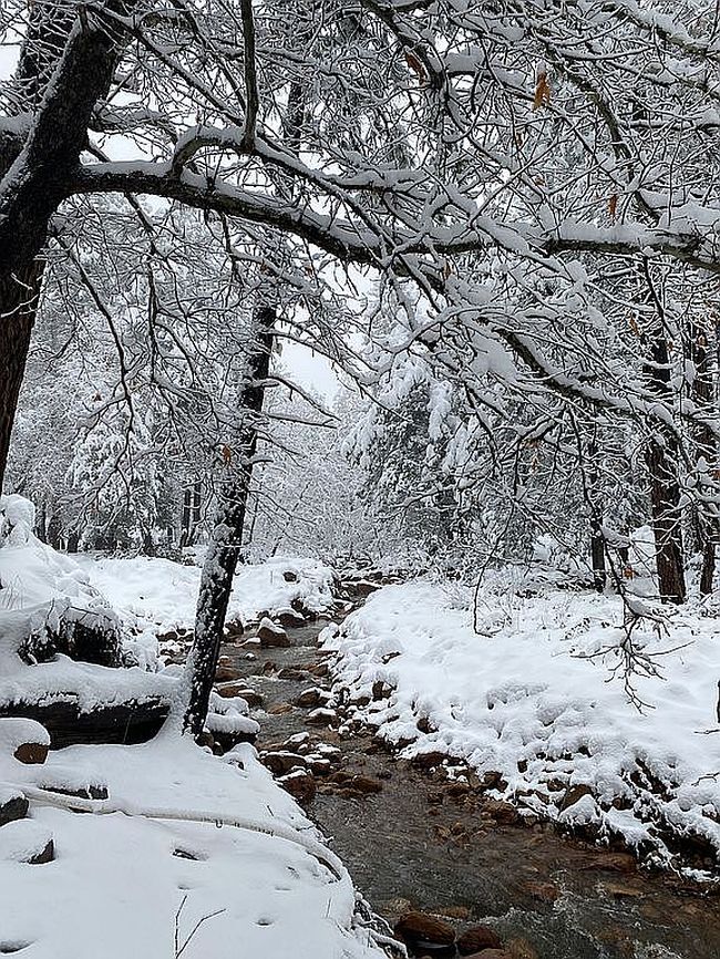 Photo of 151 N Majestic Elk Ln, Payson, AZ