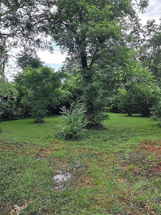 Additional photo 3 of property located at 502 Marion St