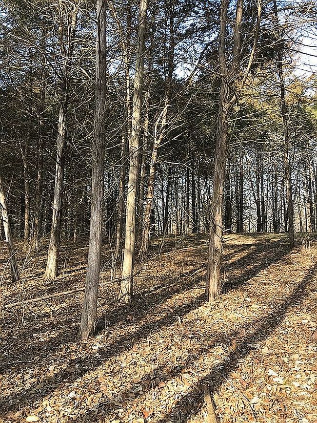 Image of 13 Red Oak Ests