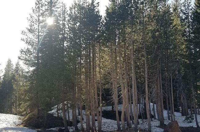 Photo of 8607 Yuba Dr, Soda Springs, CA