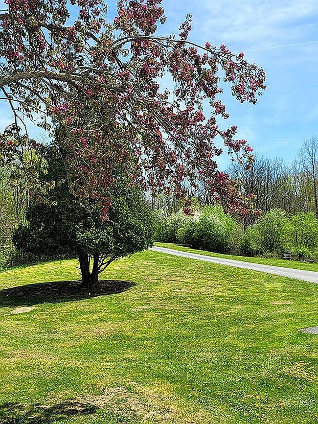 Image of 6727 Napier Rd