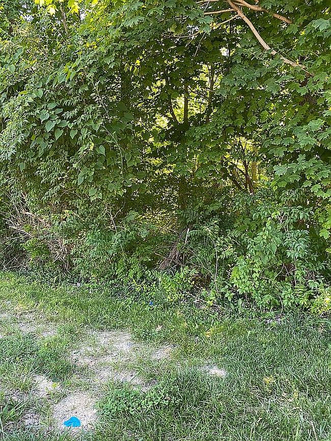 Image of Moffett Ln