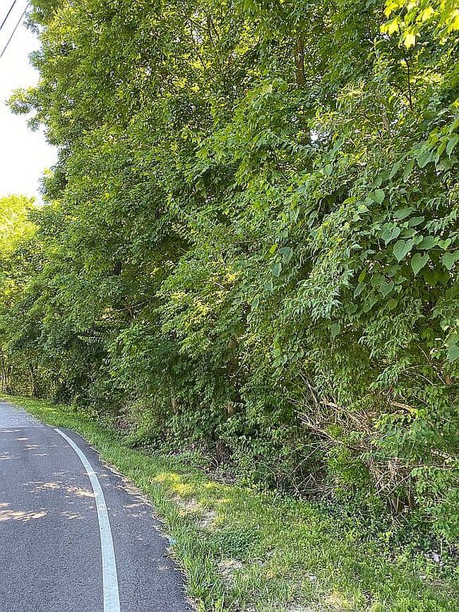 Image of Moffett Ln