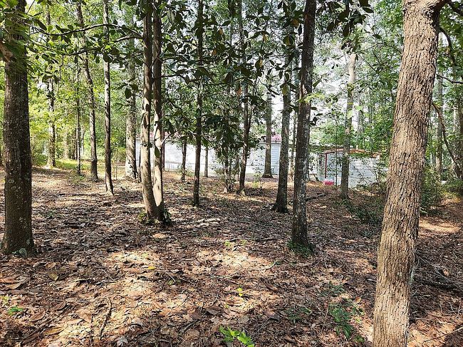 Image of 535 Knob Hill Cir