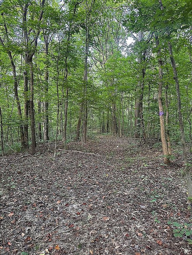 Photo of 23847 Friar Tuck Ct, Essex, MO