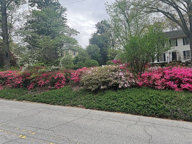 Image of 21 Fontaine Dr
