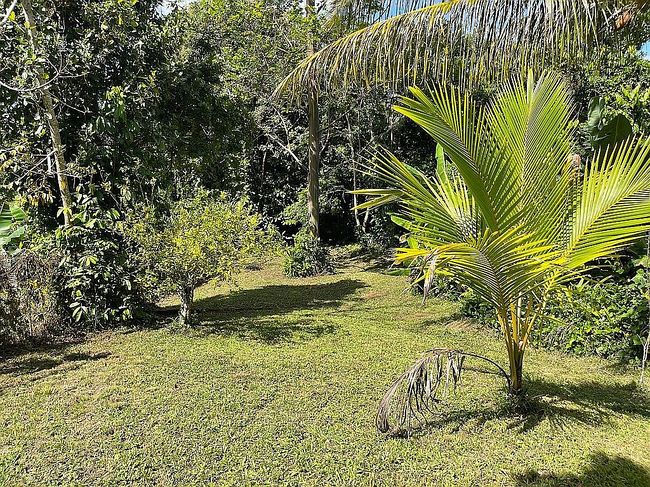 Image of 140 Rd Camino Piedra Gorda Bo Mameyes