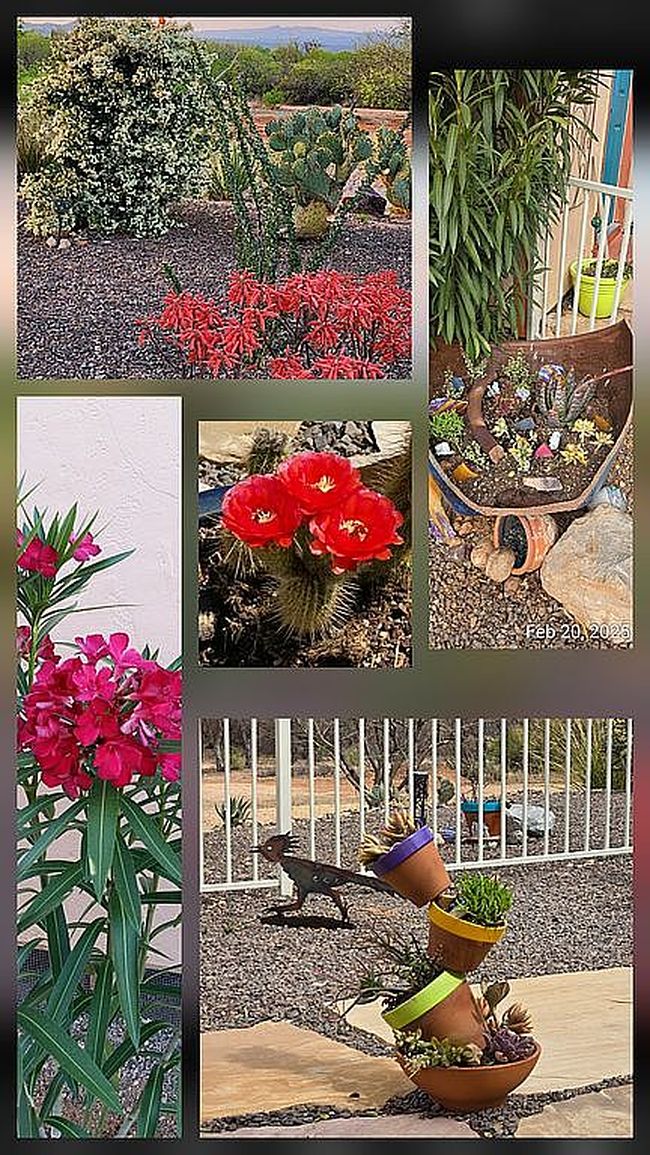 Image of 1030 S Barrel Cactus Rdg Unit 33
