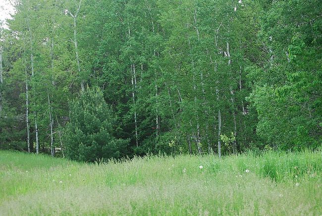 Photo of 65Xx Locust Rd, Duluth, MN