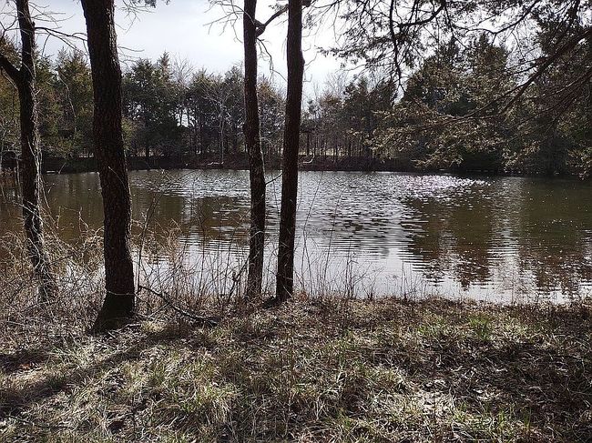 Photo of 0 Rt 2 Box 7410, Doniphan, MO