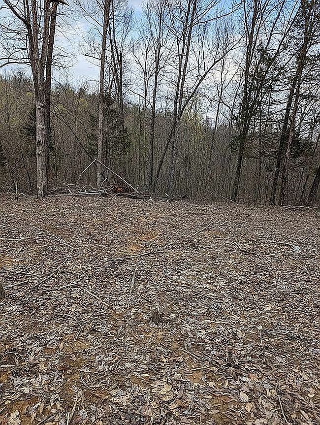 Image of 452 Eagle Point Loop