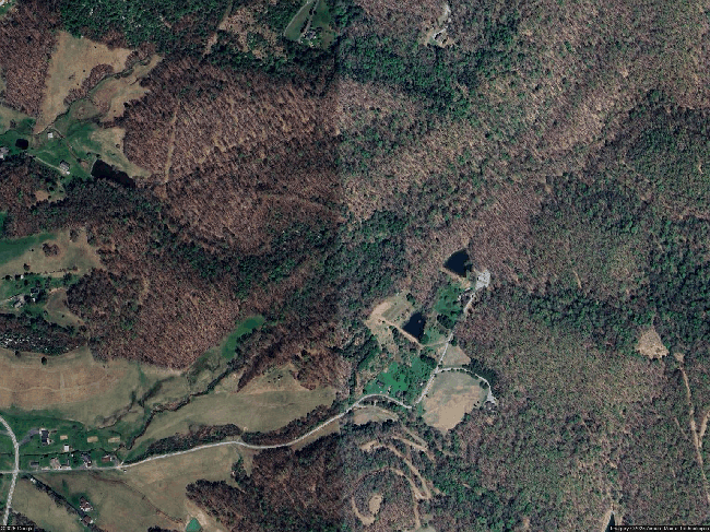 Image of 55 Pleasant Ave