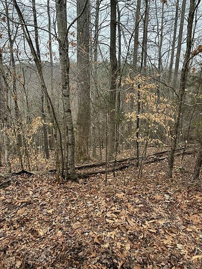 Image of 63 Stoney Rock Ln