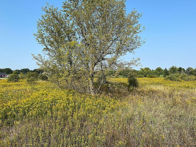 Image of 5170 Crandall Rd