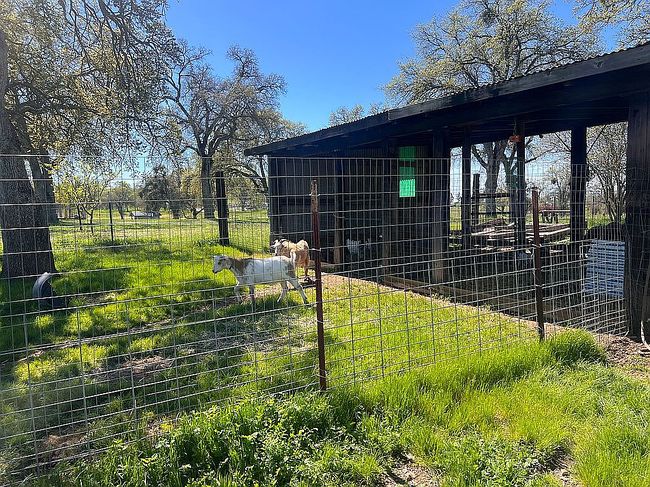 Image of 10348 Milton Rd
