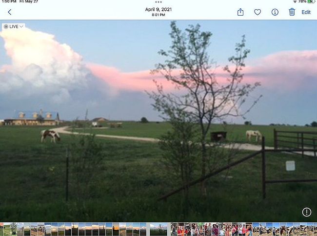 Photo of 8928 County Road 1232, Godley, TX