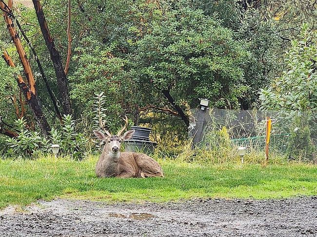 Photo of 1245 Sunshine Rd, Roseburg, OR