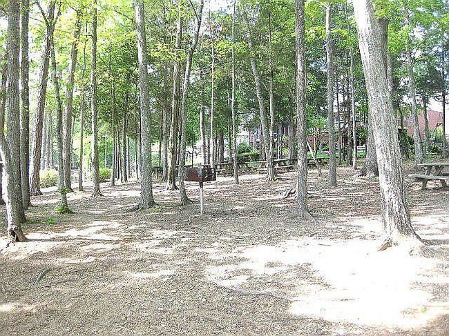 Image of 913 Willowood Pkwy