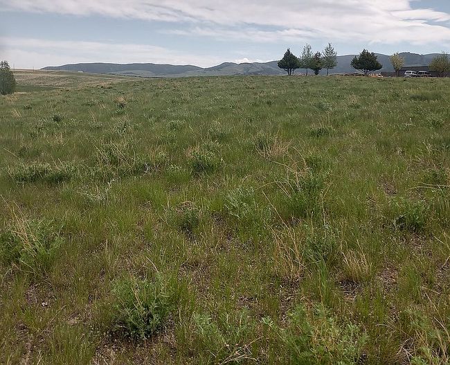 Photo of 1003 Arrowhead Ln, White Sulphur Springs, MT