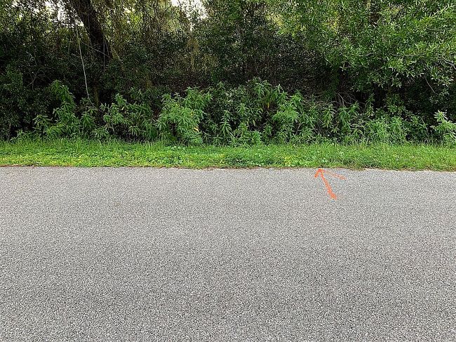 Image of Wasilla St