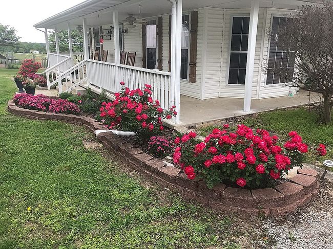 Photo of 71 Rs Ranch Rd, Clarkridge, AR