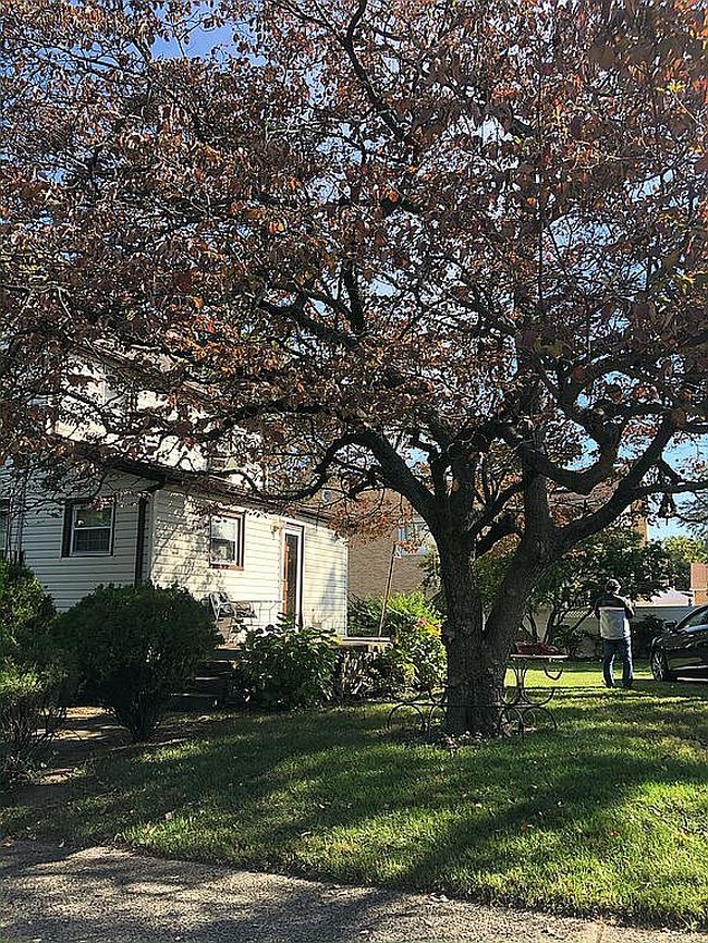 Photo of 16702 73rd Ave, Flushing, NY