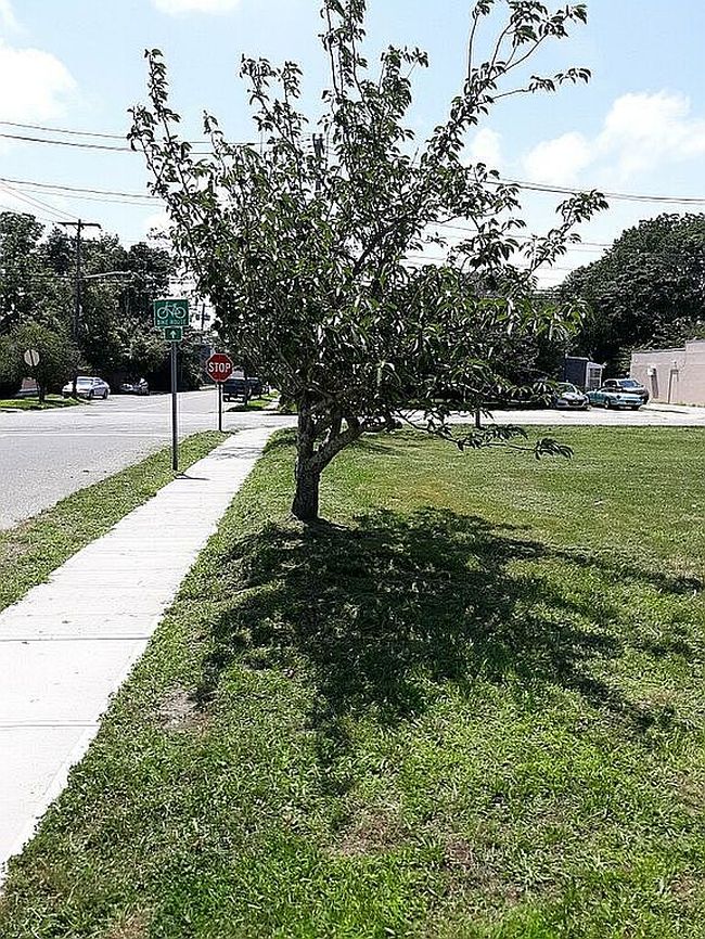 Image of 420 Osborne Ave