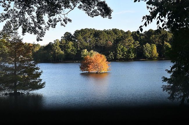 Photo of 185 Lake Shore Dr, Newnan, GA