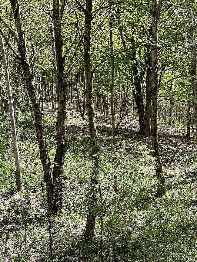 Photo of 5545 S Lebanon Rd, Earlville, NY