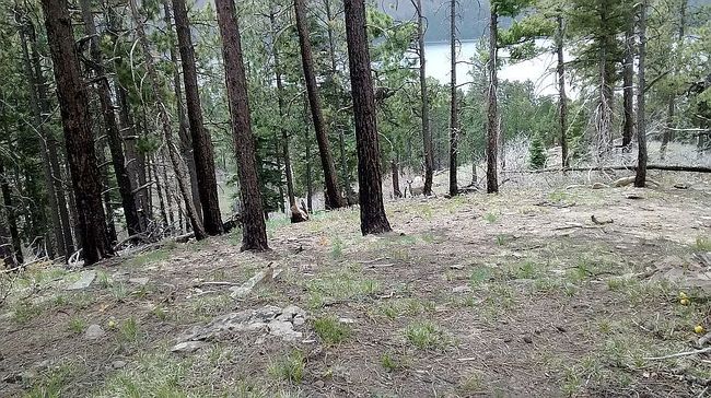 Photo of 1123 Lake View Dr, Bayfield, CO
