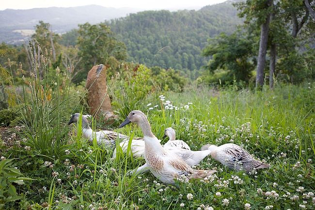 Photo of 44 Azura Gdns, Weaverville, NC