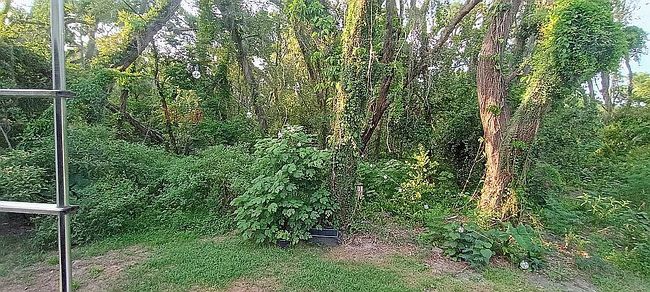 Photo of 5824 23rd St Lot 9, Zephyrhills, FL