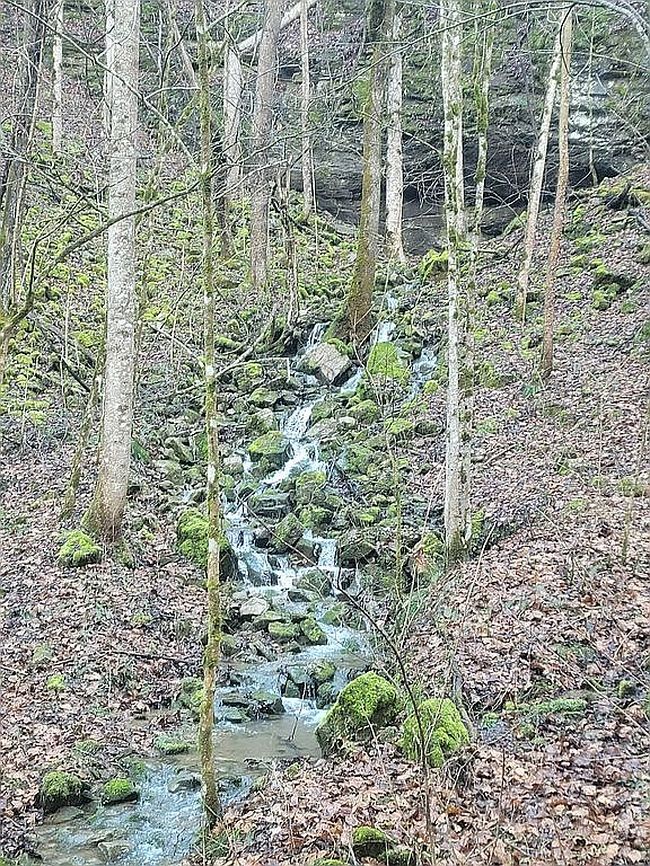 Image of 558 Beeline Rd