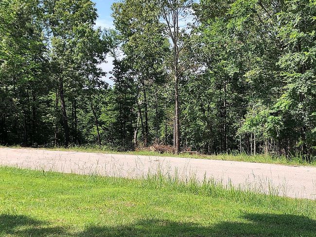 Photo of Brighton St, Bull Shoals, AR