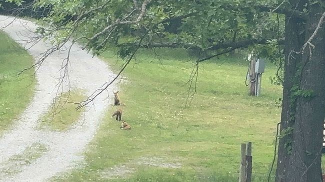 Additional photo 2 of property located at 11234 E 264th St