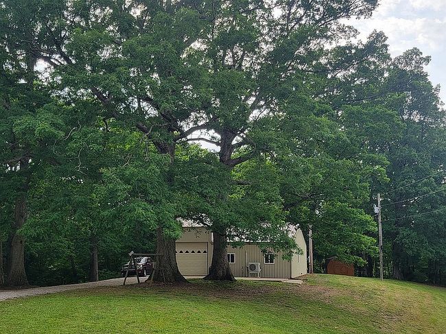 Photo of 3153 Taffy Rd, Whitesville, KY
