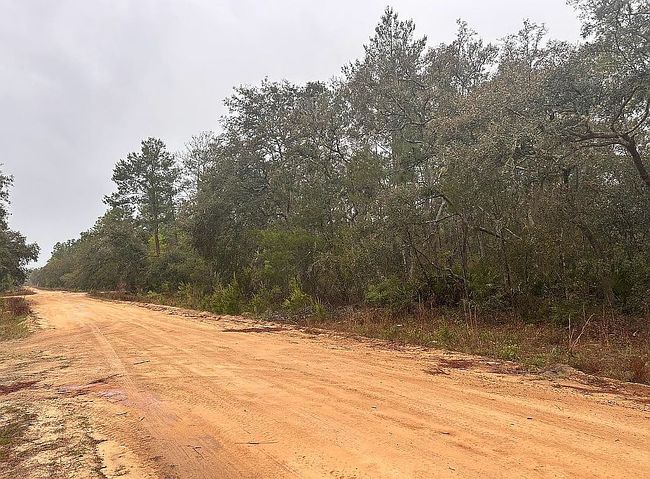 Photo of Lakes Estates, Interlachen, FL