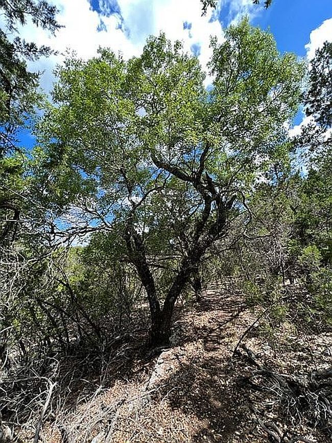 Image of 1025 Flaman Rd