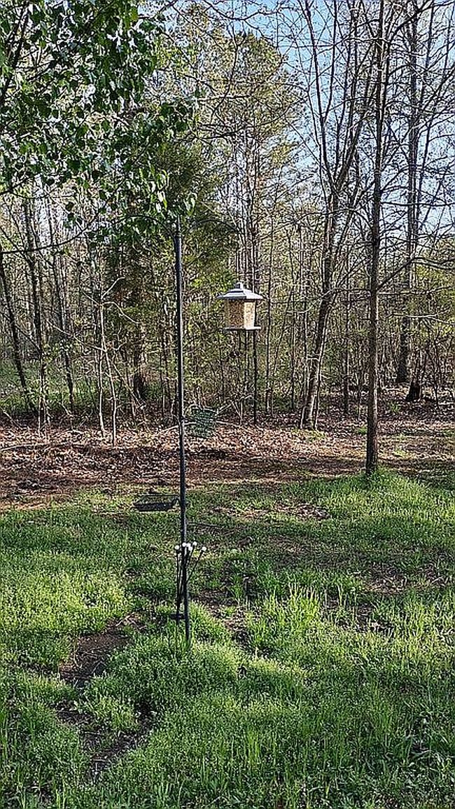 Image of 558 County Road 814