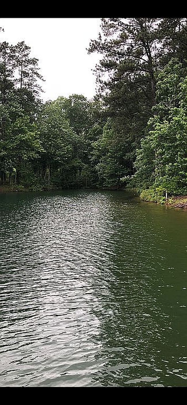 Preview of property located at 0 County Road 175