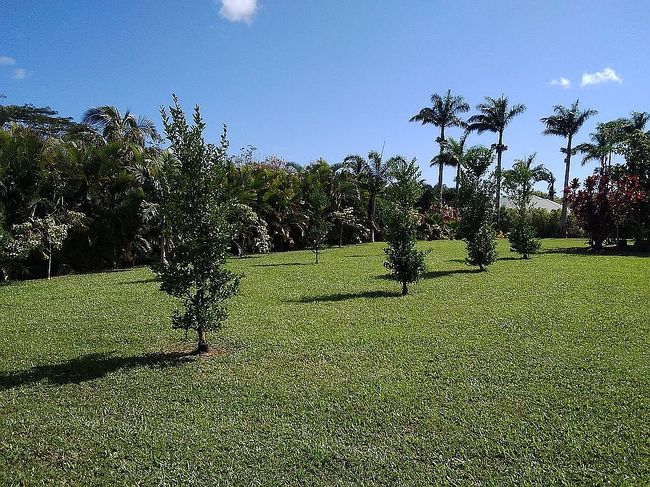 Photo of 5850A Kahiliholo Rd, Kilauea, HI