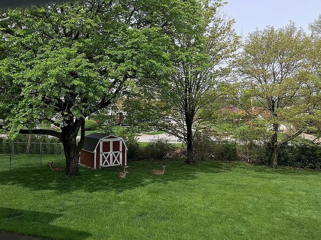 Image of 21508 Ellen Dr