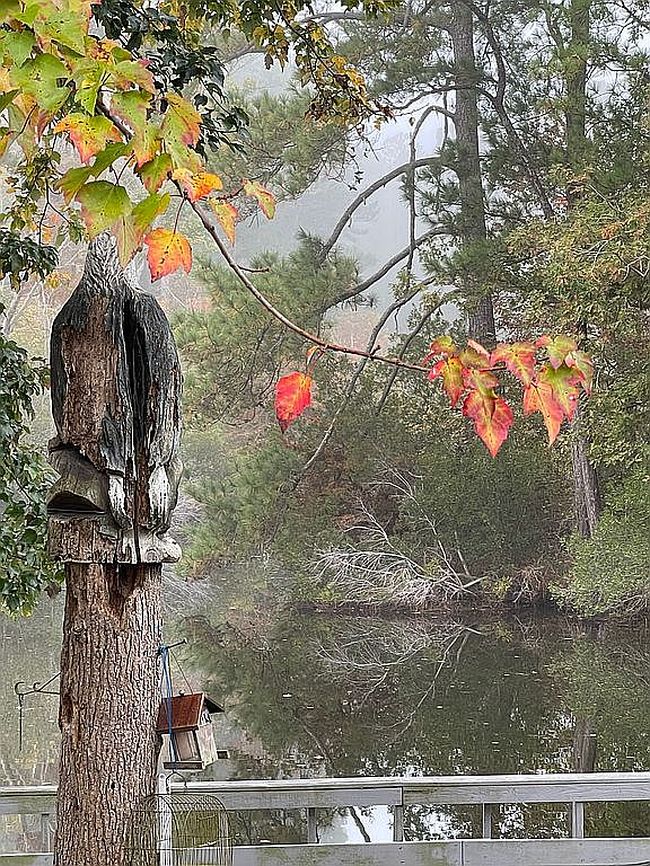 Image of 122 W Hidden Valley Trl