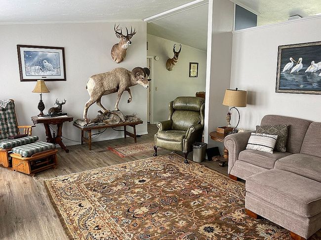 Photo of 29326 Wapiti Ln, Bigfork, MT