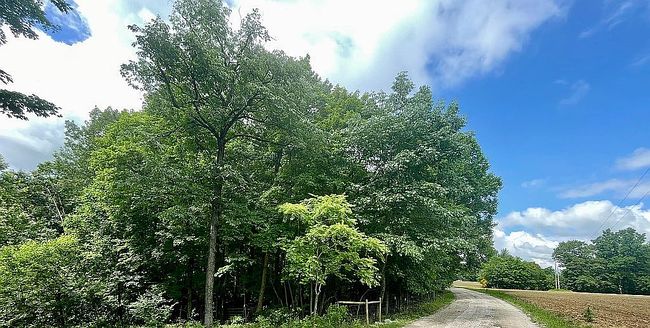 Photo of 11511 Tedrow Ln, Shoals, IN