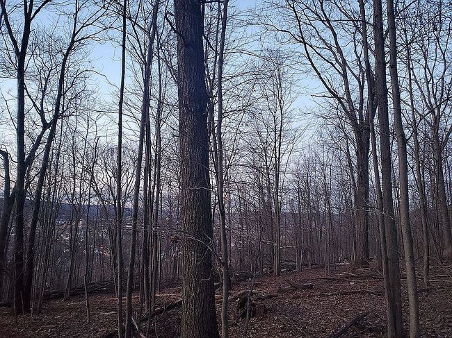 Image of 120 Mill St