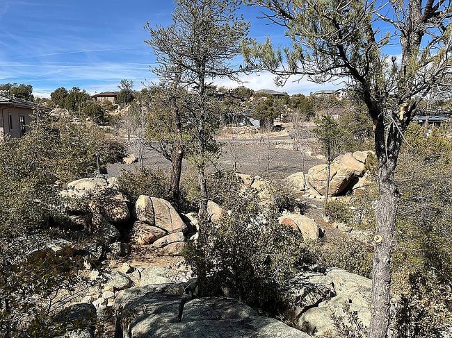 Image of 909 Border Ct
