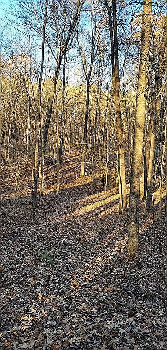 Image of Workman Cemetery Rd