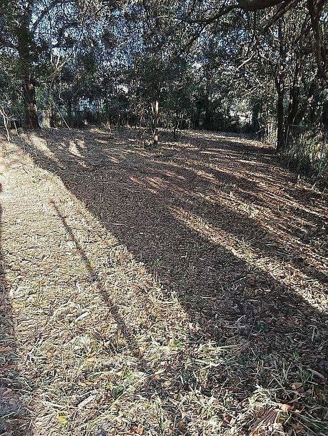 Image of 6621 Merle St